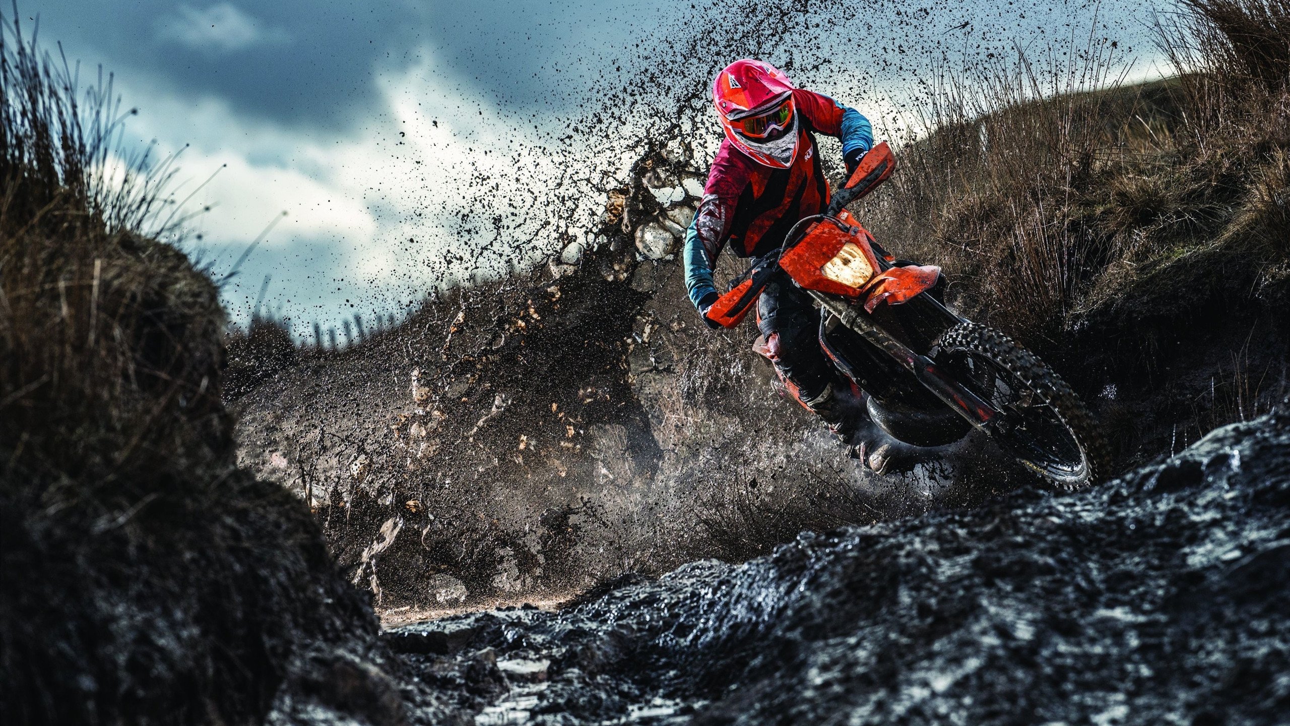 九游APP-赛道上的逆袭,哈斯车队险胜梅赛德斯,诺里斯惊艳四座